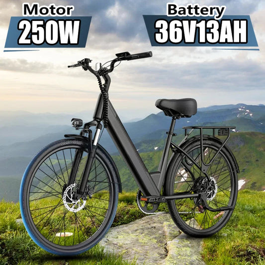 E-bike URLIFE E26 250W Motor 36V13AH Removable Battery High Carbon Steel Frame Electric Bicycle 26 inch Tire Adult Electric Bike Torange