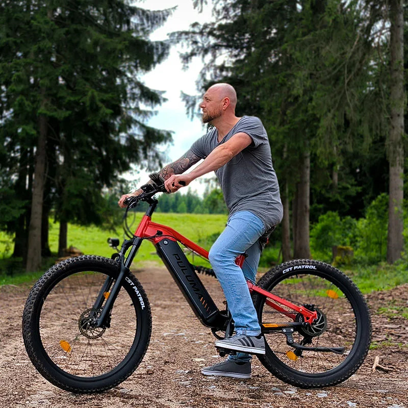 PH001 Electric Bicycles Peak 1000W Motor 48V 20AH Battery Off-Road VTT Electric Mountain Bike 27.5 Inch Fat Tire Electric Bikes