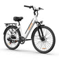 E-bike URLIFE E26 250W Motor 36V13AH Removable Battery High Carbon Steel Frame Electric Bicycle 26 inch Tire Adult Electric Bike Torange