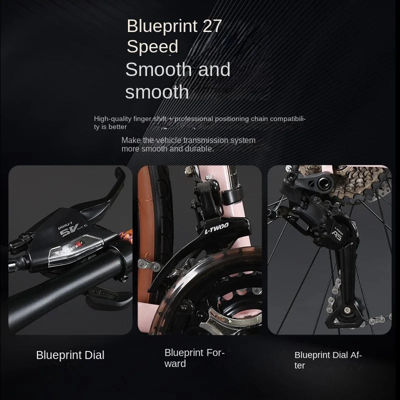 High Carbon Steel Road Bike