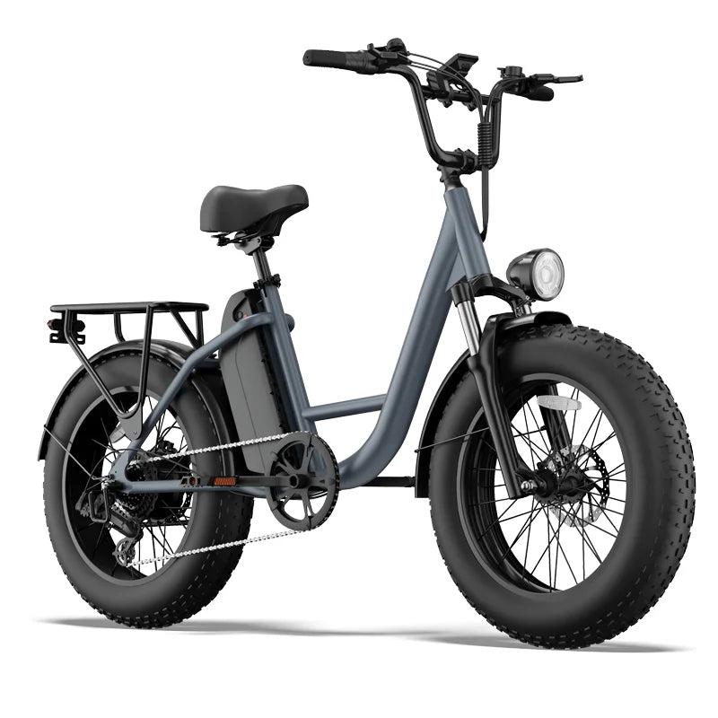 URLIFE E20Pro Adult 1500W Peak Power Motor 48V15.6Ah Battery Electric Bicycle E-bike 20*4Inch All Terrain Fat Tire Electric Bike Torange