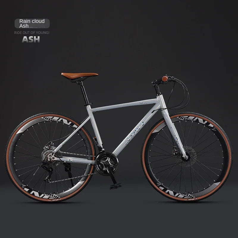 High Carbon Steel Road Bike