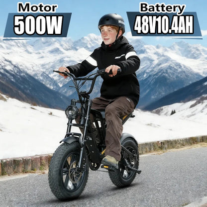 Electric Bike Hidoes B6Mini 500W High Speed Motor 48V10.4AH Battery  Electric Bicycle 16 Inch Off-road Air Fat Tire Adult E-bike Torange