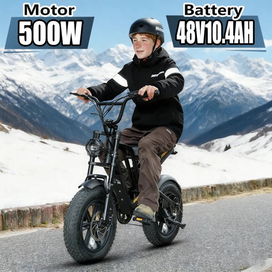 Electric Bike Hidoes B6Mini 500W High Speed Motor 48V10.4AH Battery  Electric Bicycle 16 Inch Off-road Air Fat Tire Adult E-bike Torange
