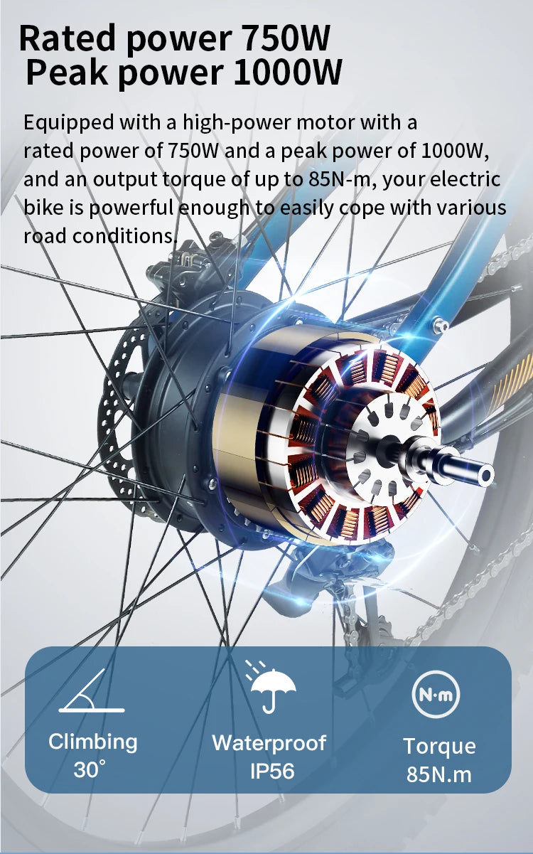 PH001 Electric Bicycles Peak 1000W Motor 48V 20AH Battery Off-Road VTT Electric Mountain Bike 27.5 Inch Fat Tire Electric Bikes