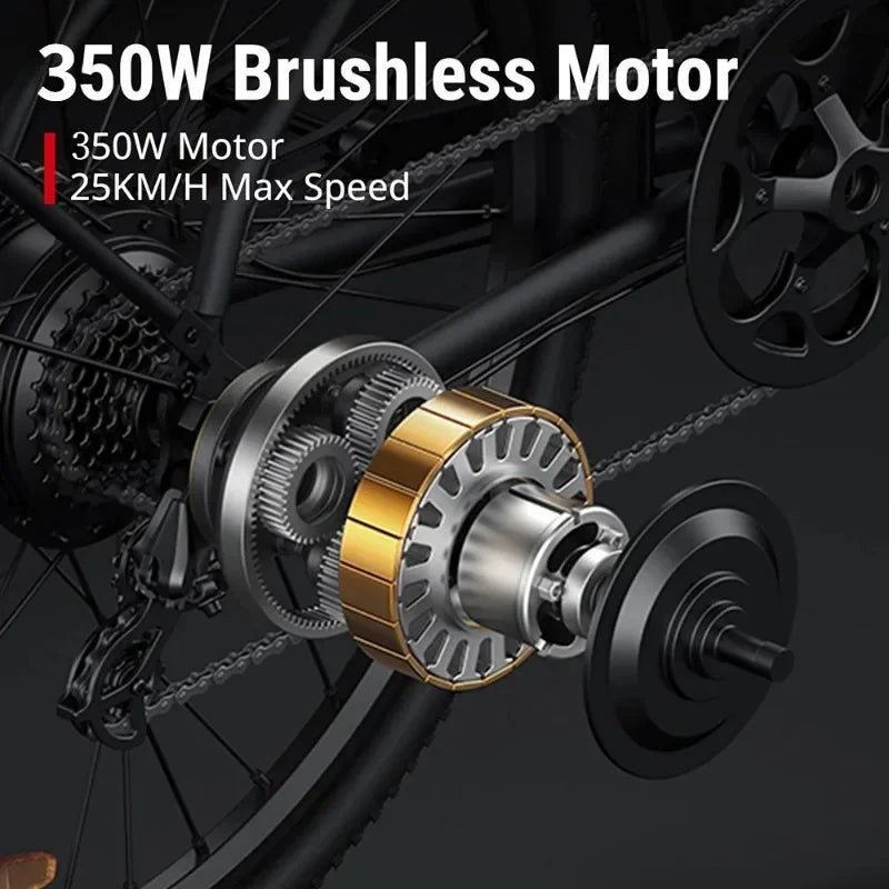 Electric Bicycle DYU C5 350W Brushless Motor 48V10AH Built-in Lithium Battery E-bike 27.5 Inch Tire Adult Urban Electric Bike