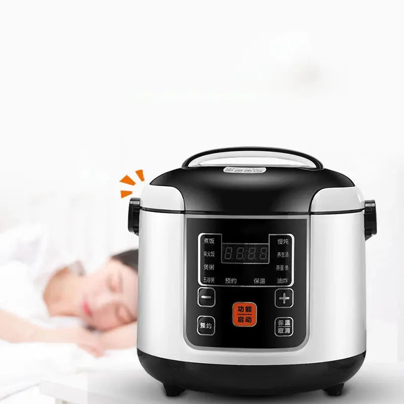 Portable Car Rice Cooker 2L Electric Truck Multi-Cooker Soup Porridge Cooking Food Steamer Electric Lunch Box 12V or 24V DS