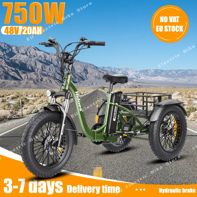 Electro Tricycle 750W Motor 20AH Lithium Battery Folding Electric Tricycle Electric Cars Vehicles for Adults 20*4.0 Inch Ebike