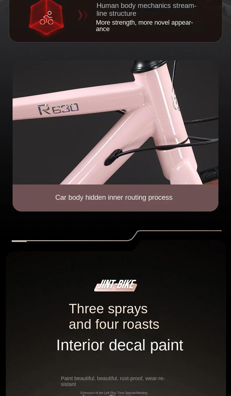 High Carbon Steel Road Bike