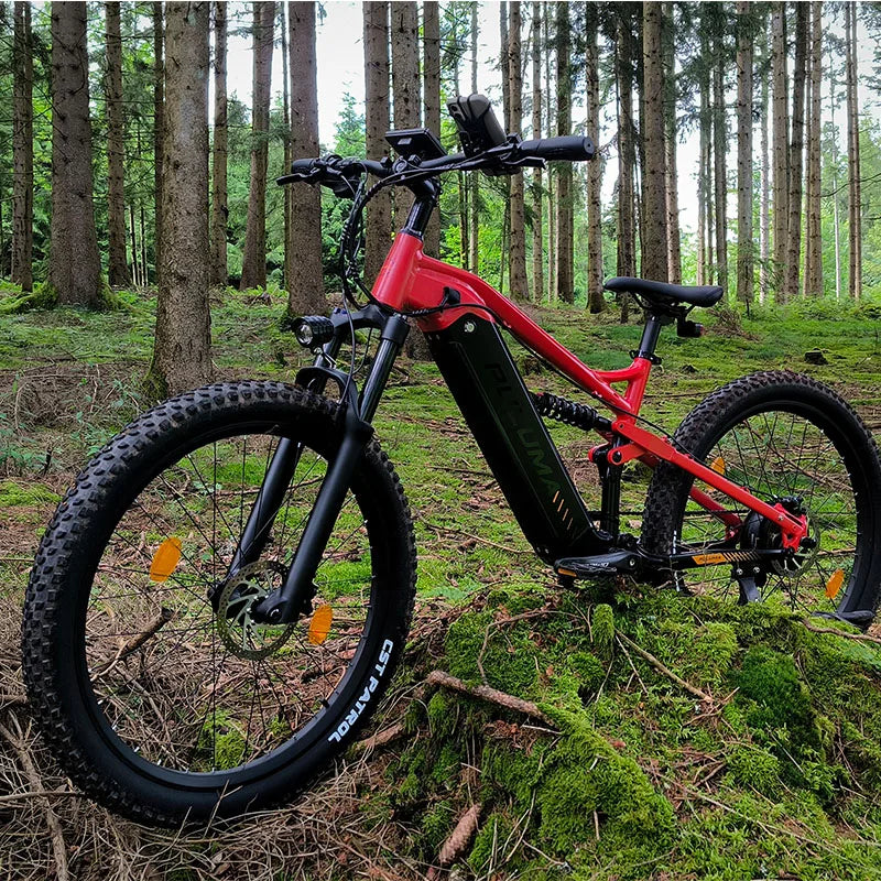 PH001 Electric Bicycles Peak 1000W Motor 48V 20AH Battery Off-Road VTT Electric Mountain Bike 27.5 Inch Fat Tire Electric Bikes