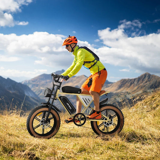 Electric Bike JANSNO X70 750W Brushless Motor 48V34AH Dual Battery Adult Electric Bicycle 20*4.0 Inch Fat Tire Mountain E-bike Torange