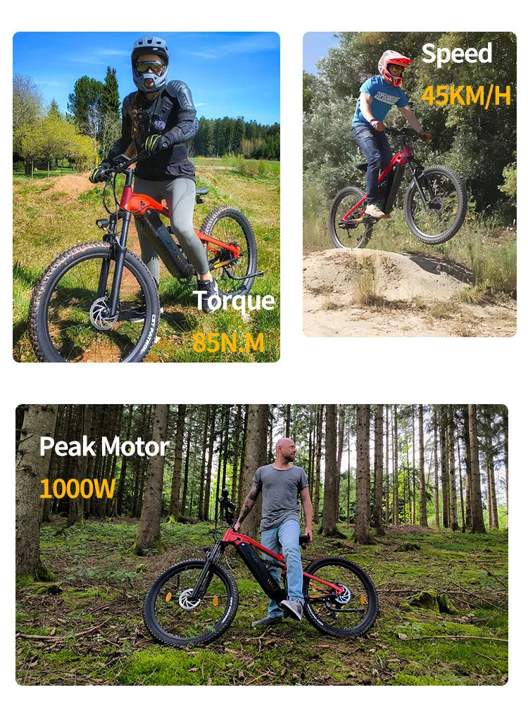 PH001 Electric Bicycles Peak 1000W Motor 48V 20AH Battery Off-Road VTT Electric Mountain Bike 27.5 Inch Fat Tire Electric Bikes