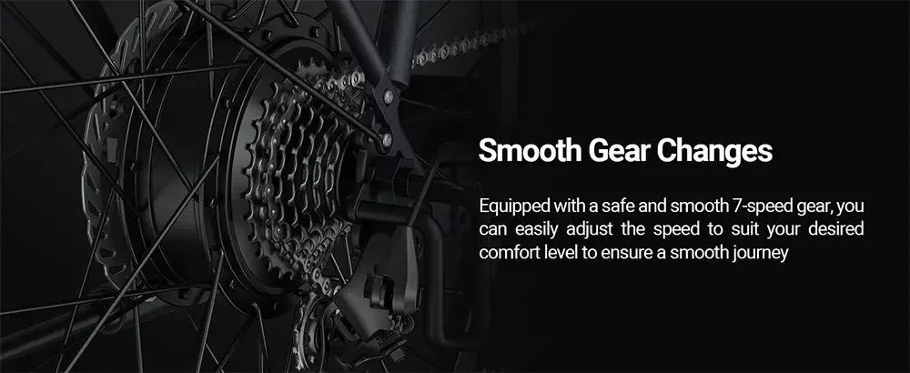 Electric Bicycle DYU C5 350W Brushless Motor 48V10AH Built-in Lithium Battery E-bike 27.5 Inch Tire Adult Urban Electric Bike