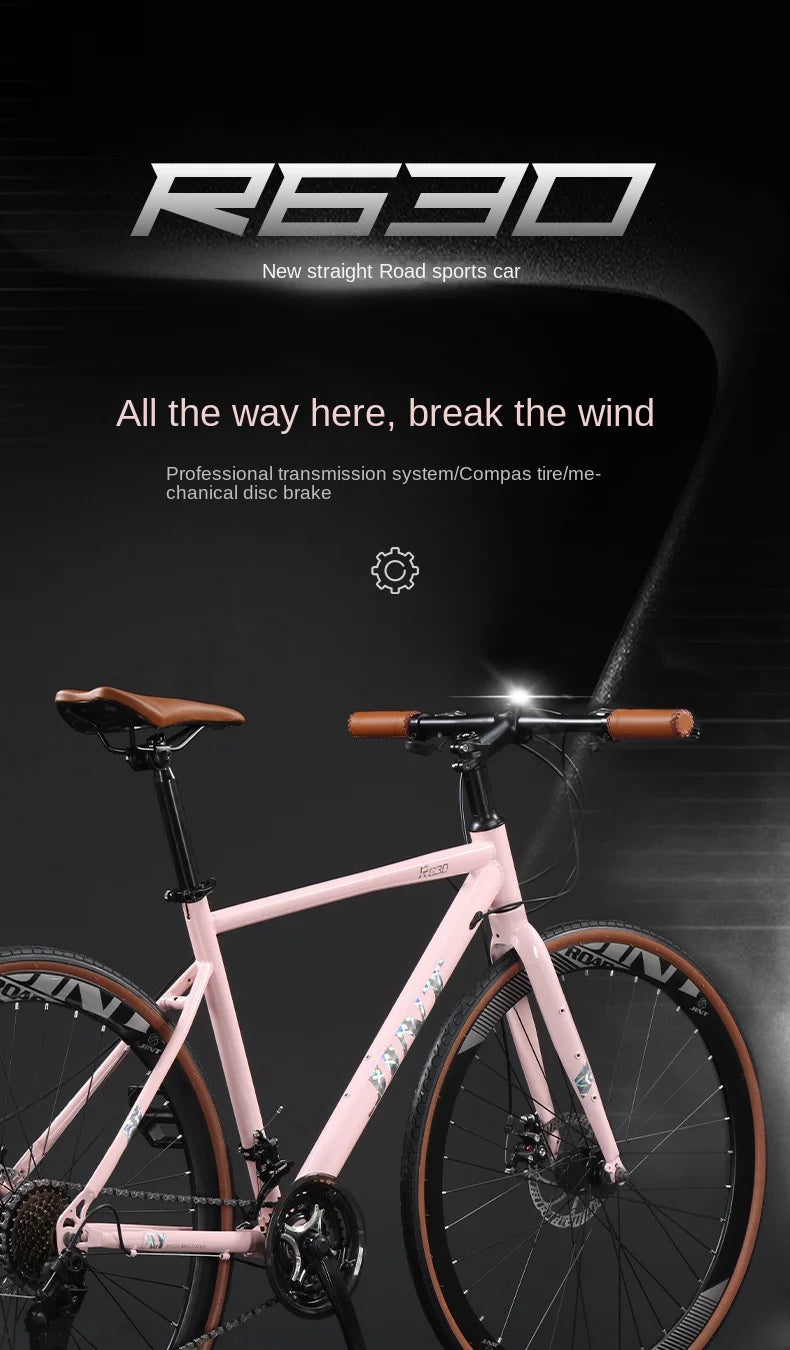 High Carbon Steel Road Bike